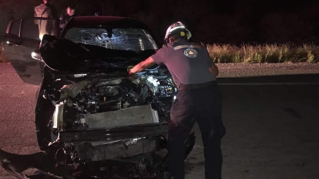 Choca auto contra toro, hay 4 heridos