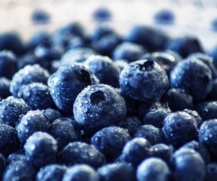 La fruta que puede retrasar el deterioro cognitivo La fruta que puede retrasar el deterioro cognitivo
