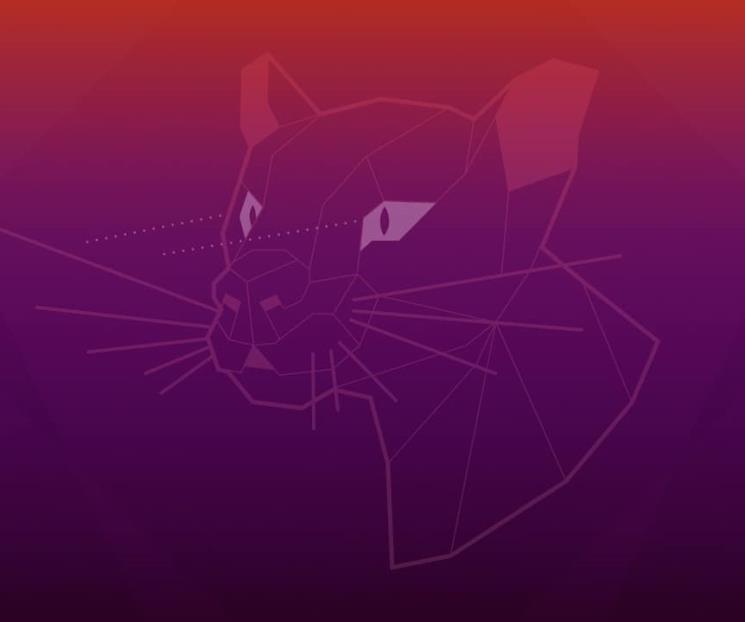 Disponible Ubuntu 20.04.1 LTS