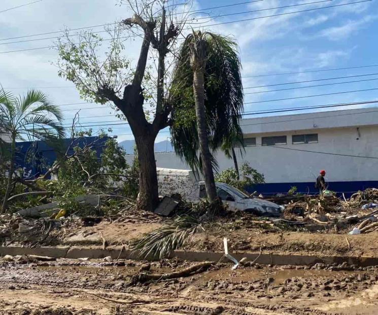 Huracanes reducen la capacidad de eliminar el CO2