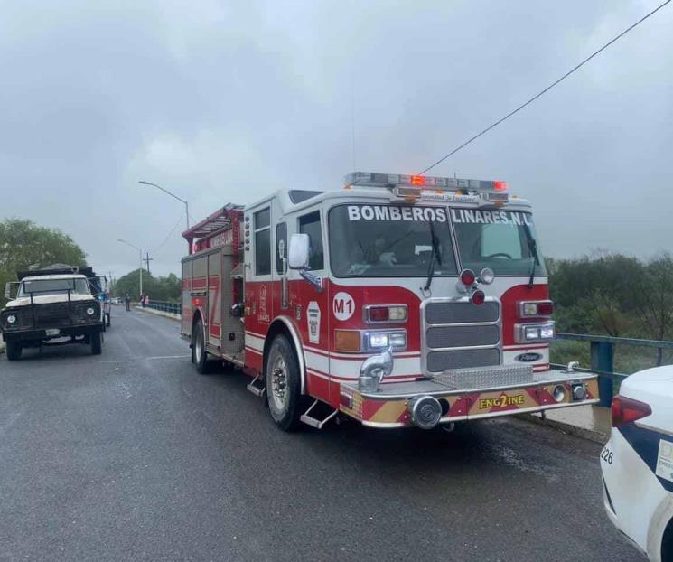 Alarma caída de árbol Alarma caída de árbol