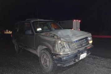 Arrollan vaca Doctor Arroyo