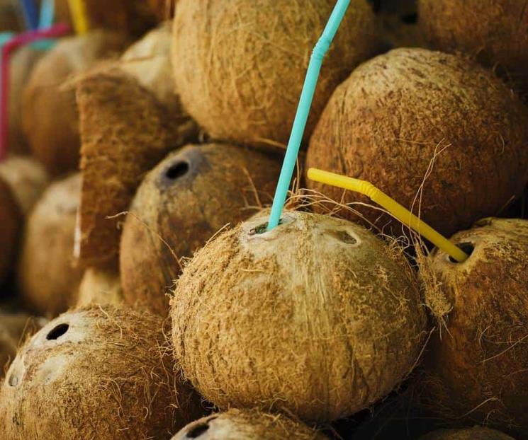 Qué tan buena es el agua de coco para los riñones