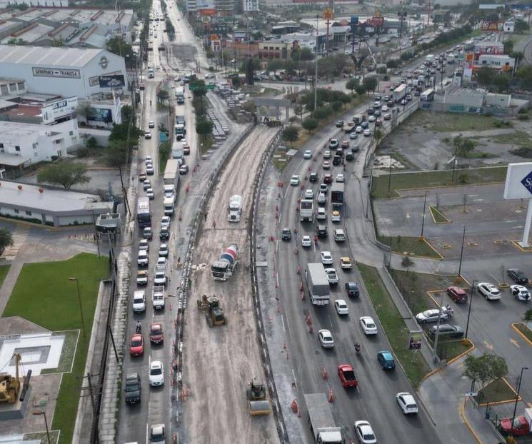 Reubica Santa Catarina árboles de mega puente