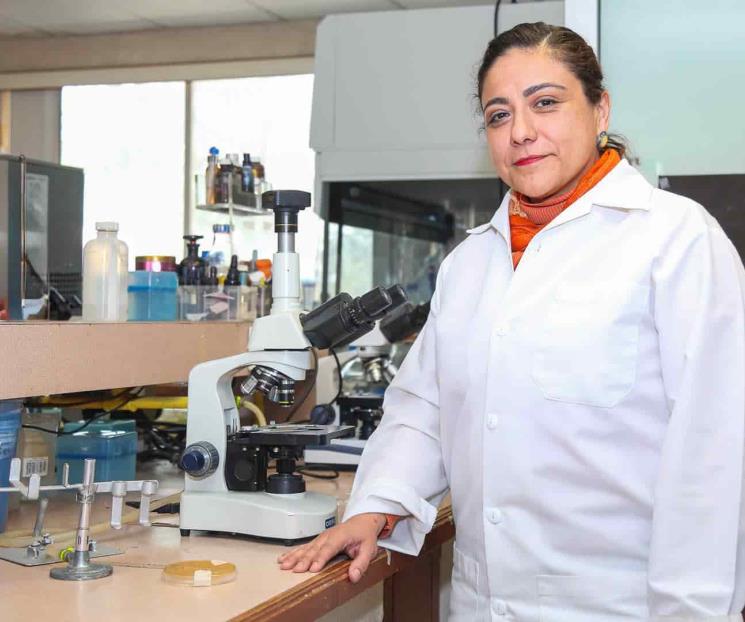 Crea hongo que ayuda a producir plantas saludables en zona árida