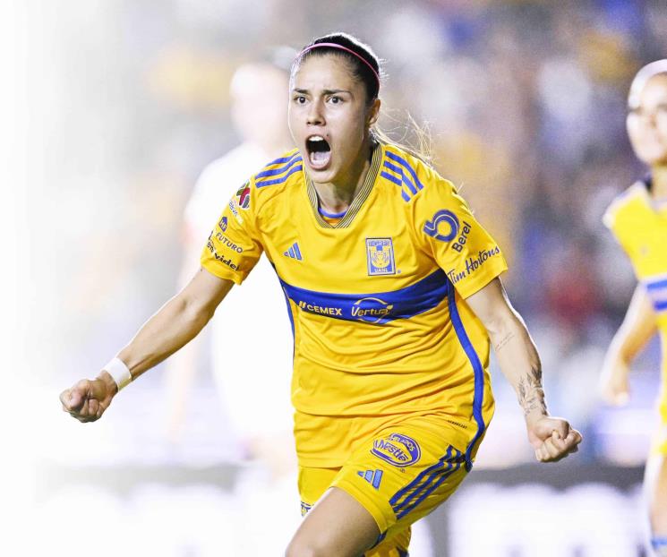 Venga, Tigres
