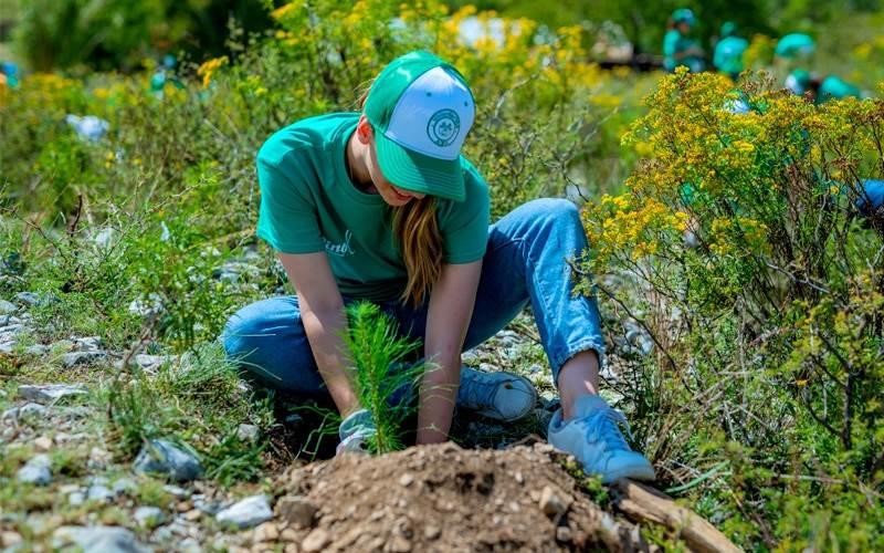 Trabaja voluntariado en reforestación