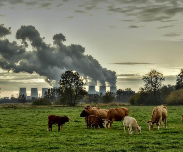 Contaminación por combustibles fósiles mata a 5 millones al año Contaminación por combustibles fósiles mata a 5 millones al año