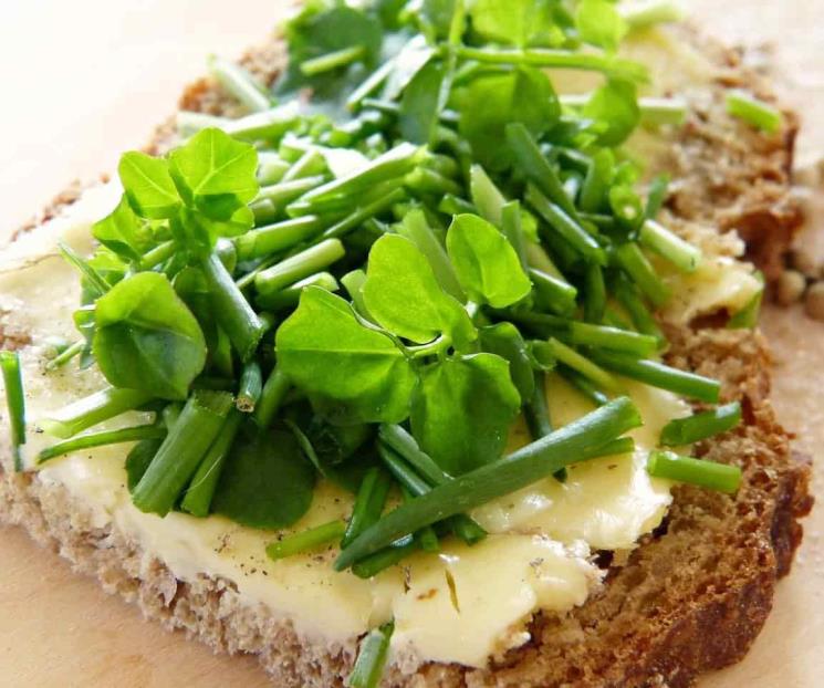 Este es el alimento más saludable, barato y fácil de conseguir