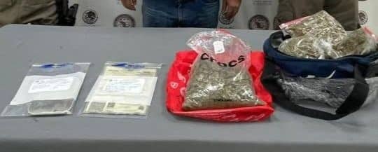 Elementos de la Policía Federal Ministerial, adscritos a la Fiscalía General de la República (FGR) en Nuevo León, al cumplimentar dos órdenes de cateo en dos inmuebles, aseguraron marihuana, dos armas de fuego y a tres personas.