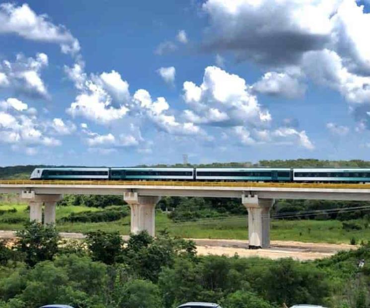 Reprochan daños de Tren Maya al medio ambiente