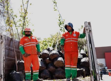 Buscan compromiso ciudadano en el cuidado de árboles