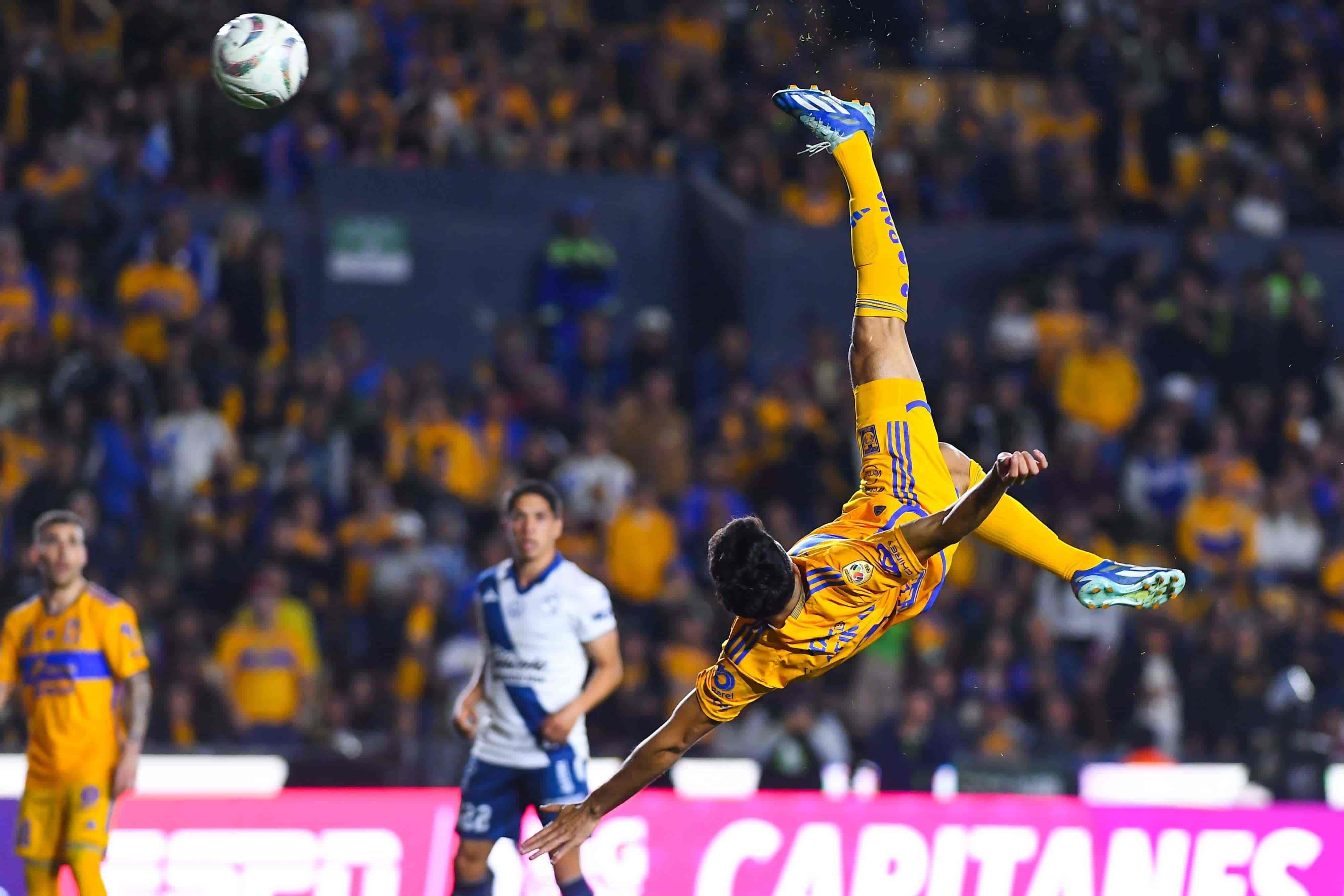 Nicolás Ibáñez anota.