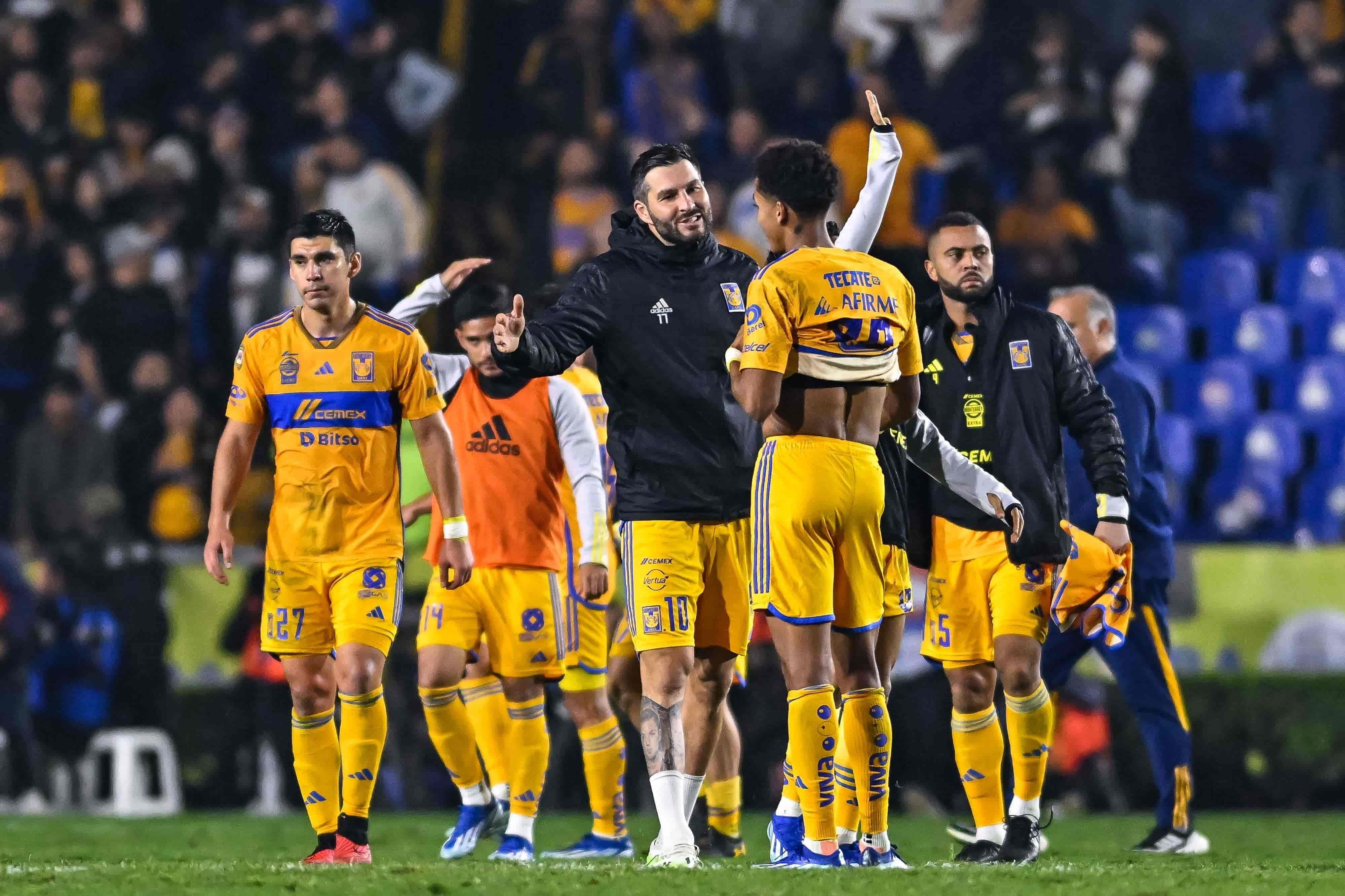 Felinos avanzan a la Semifinal.