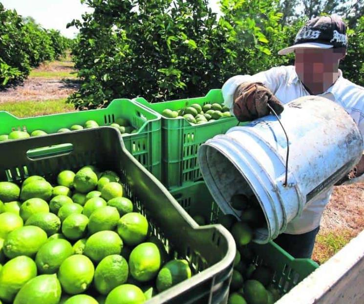 Resalta la autosuficiencia alimentaria en México