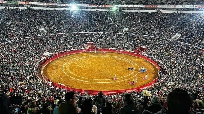 Autoriza Corte las corridas de toros en la CDMX Autoriza Corte las corridas de toros en la CDMX