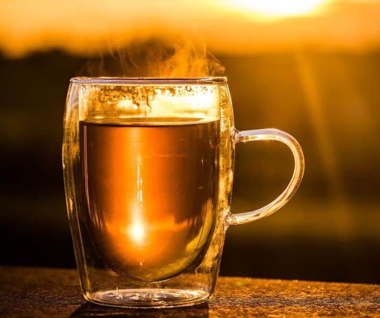 Planta del sur de América con múltiples beneficios para la salud Planta del sur de América con múltiples beneficios para la salud