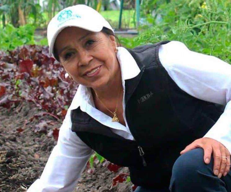 Anuncian a ganadores del Premio Nacional de Ciencias 2020 y 2021