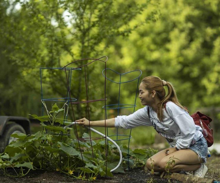 La razón por la que se recomienda hablar con tus plantas