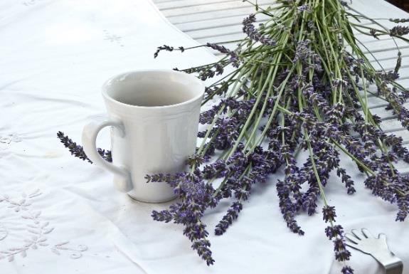 La infusión a base de una flor y una fruta que mejora el descanso