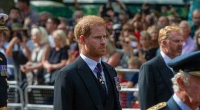 Debe el príncipe Harry pagar indemnización