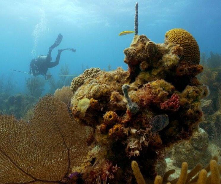 Tamaulipas formará un arrecife artificial en Matamoros