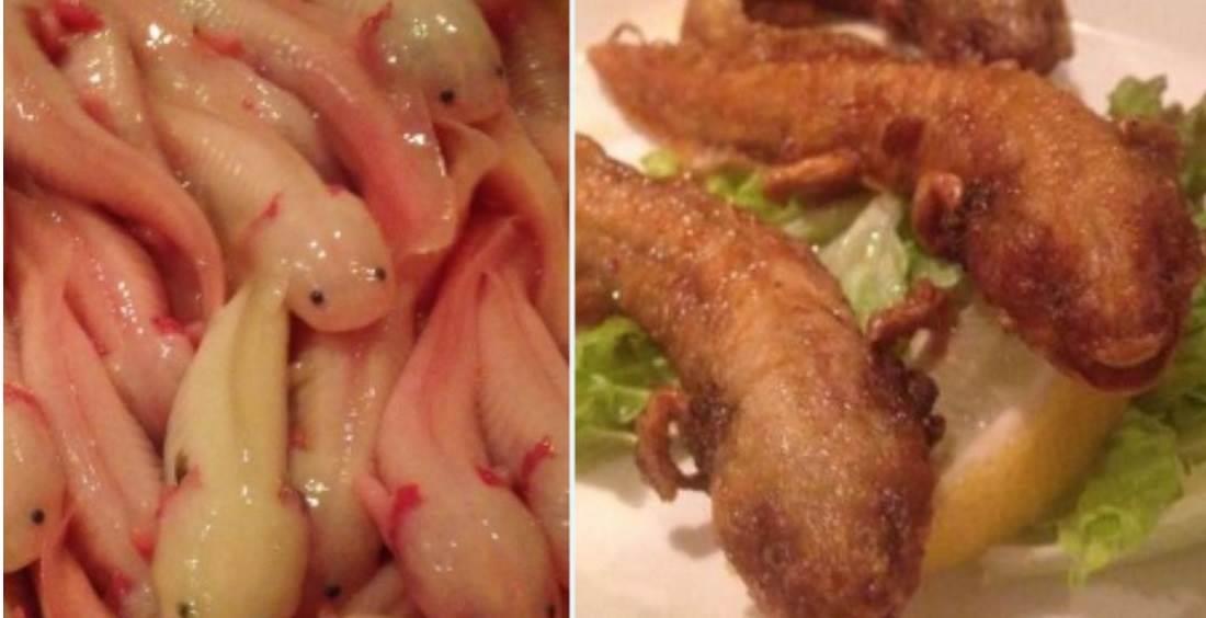 Indigna presunto platillo de ajolotes fritos de restaurante japonés