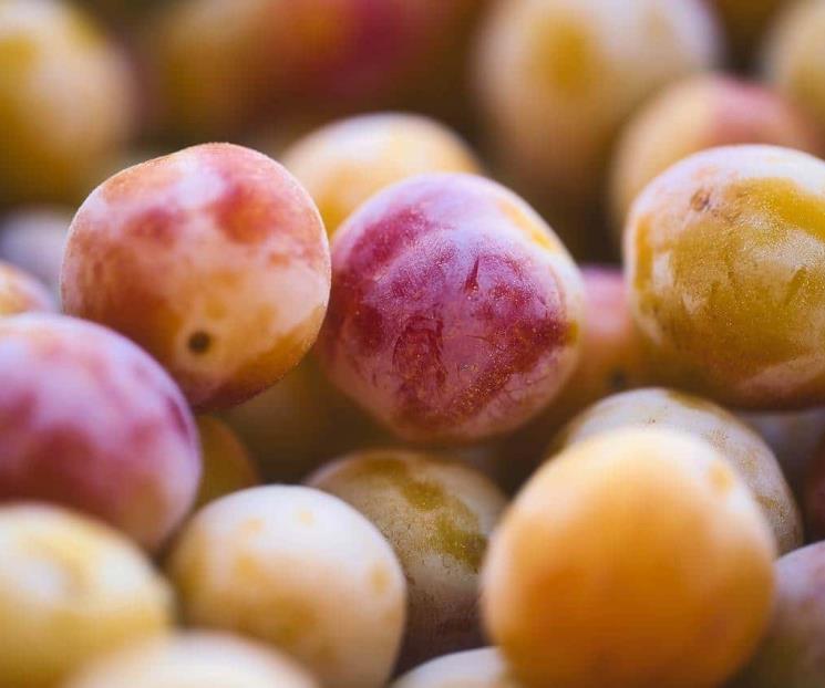 ¿Qué es la listeria, bacteria que causó alerta de Cofepris en frutas