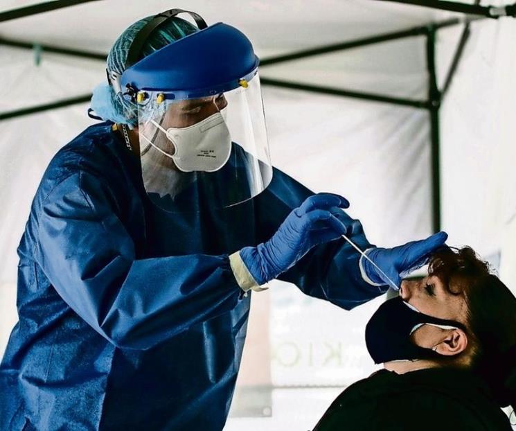 Descartan riesgo a salud pública variante Pirola Descartan riesgo a salud pública variante Pirola