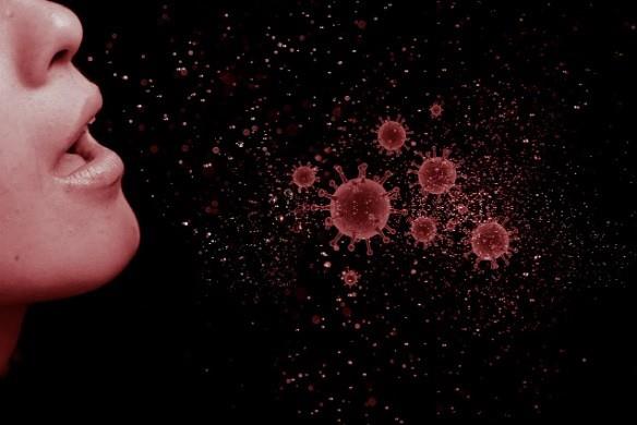 La forma en que se transmiten los virus