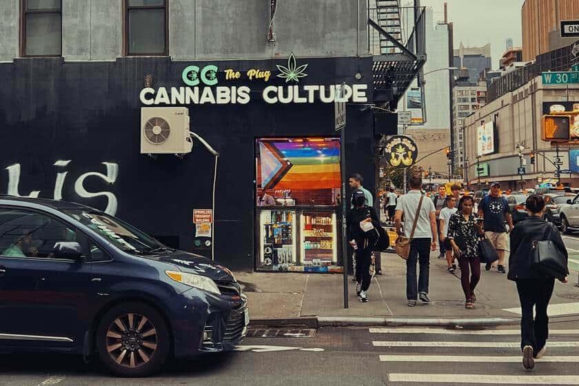 Dará Nueva York casi mil 500 licencias para negocios de marihuana Dará Nueva York casi mil 500 licencias para negocios de marihuana