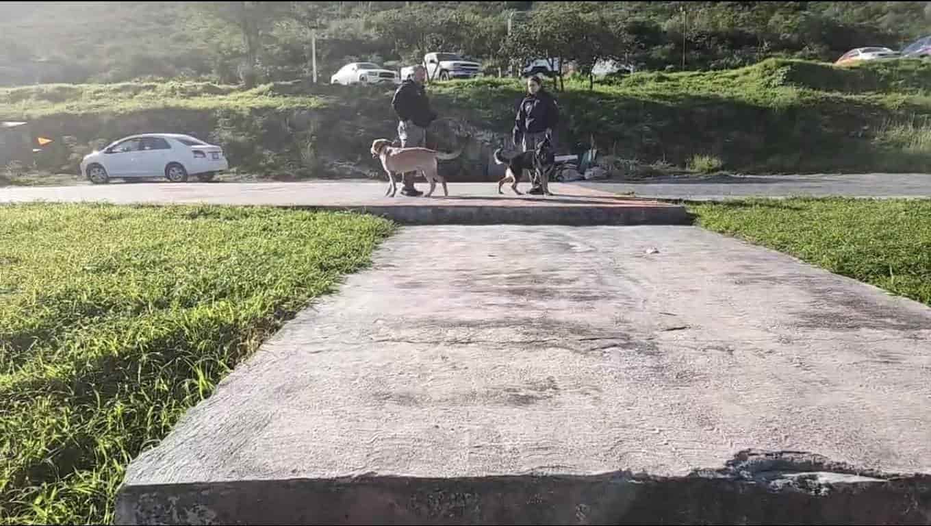 Personal de Protección Civil del Estado, dio instrucciones para resguardar a las mascotas, durante la celebración de Año Nuevo, donde está prohibido el uso de juegos pirotécnico, pero los siguen adquiriendo en forma clandestina.