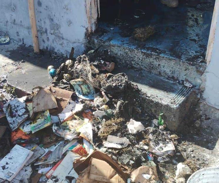 Arde pino navideño en vivienda