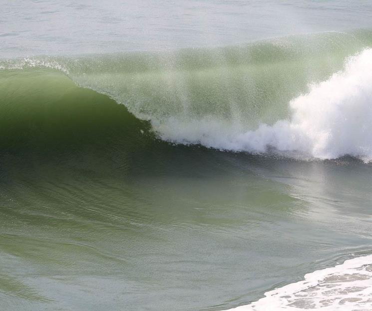 Gran ola golpea playa en California y deja ocho heridos
