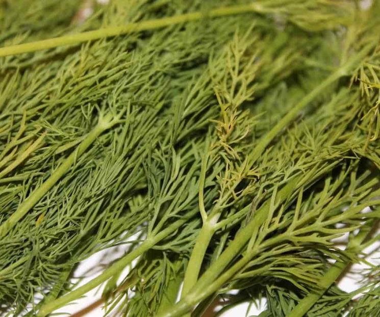 Infusiones que ayudan frente a la osteoporosis
