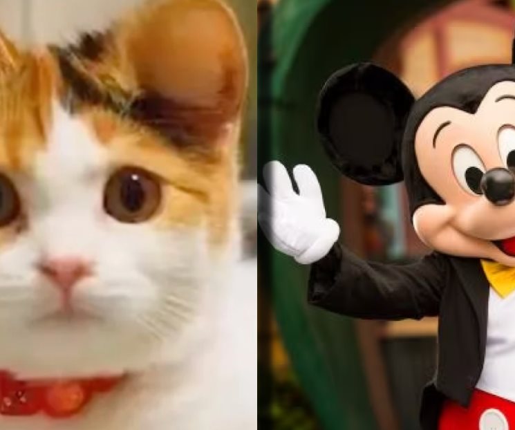 Controversia: Orejas de mascotas al estilo Mickey Mouse en China Controversia: Orejas de mascotas al estilo Mickey Mouse en China
