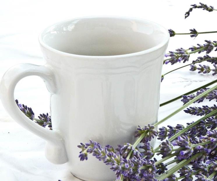 Conoce los beneficios desinflamatorios de esta infusión
