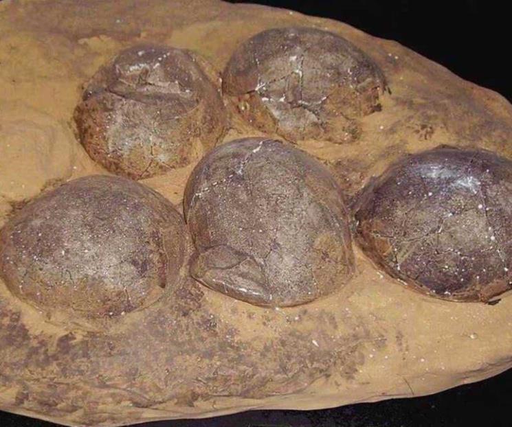 Descubren en China huevos de dinosaurio cristalizados Descubren en China huevos de dinosaurio cristalizados
