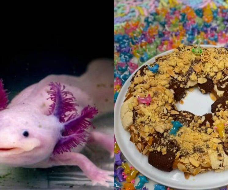 Crean adorable Rosca de Reyes con temática de ajolote