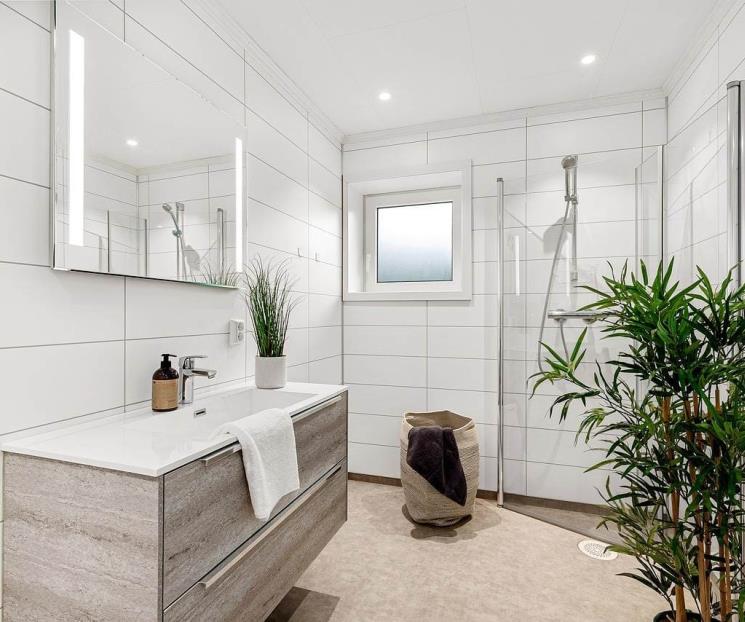 Aprende a decorar tu hogar con ramas y plantas