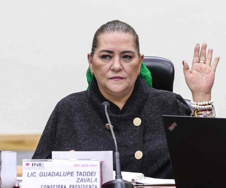 Taddei llama a los medios a vigilar el ejercicio del poder