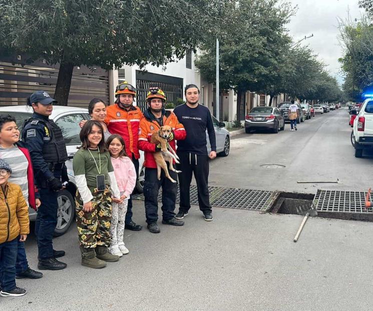 Rescatan a perro de alcantarilla