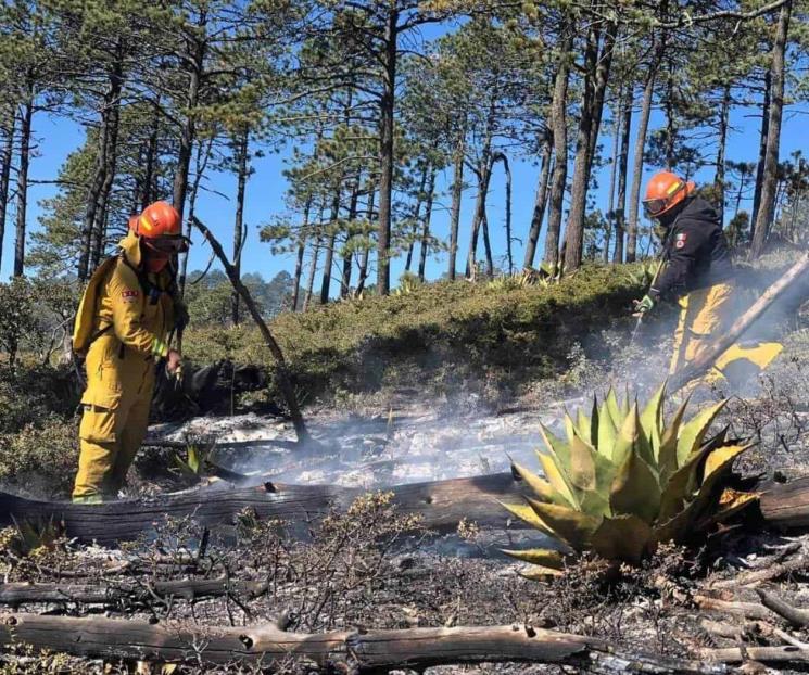 Combate Protección Civil incendio en Sierra de Iturbide Combate Protección Civil incendio en Sierra de Iturbide