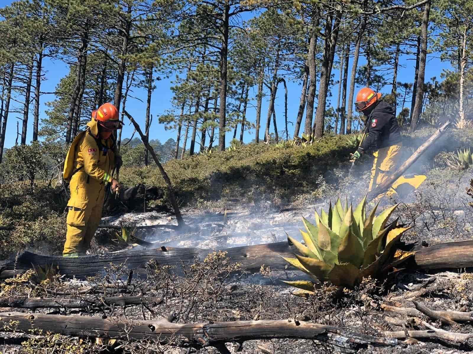 Los puestos de socorro continúan trabajado en la Sierra de Iturbide, al avivarse el fuego, debido a las ráfagas de viento que provocaron que el siniestro se extendiera rápidamente.