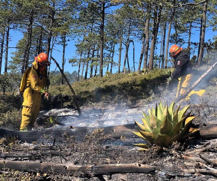 Combaten incendio en Iturbide