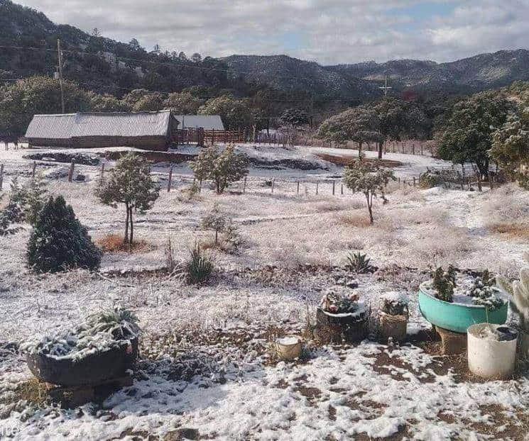 Suspenden clases en Chihuahua por temperaturas de -17 grados