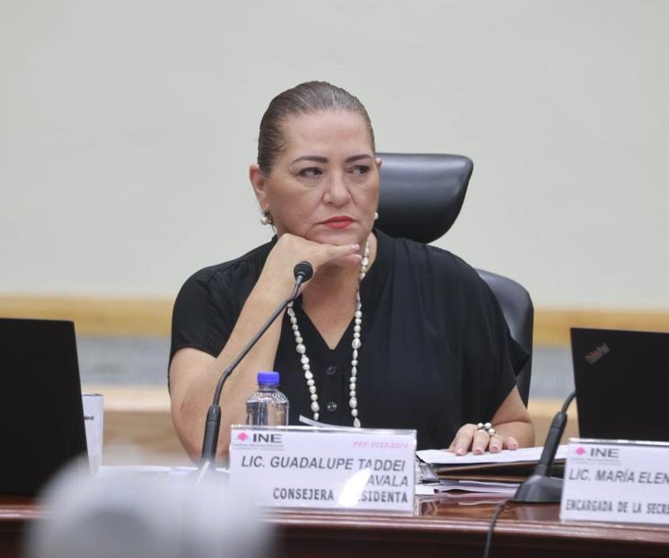 Tribunal Electoral da vía libre a Taddei para nombramientos del INE