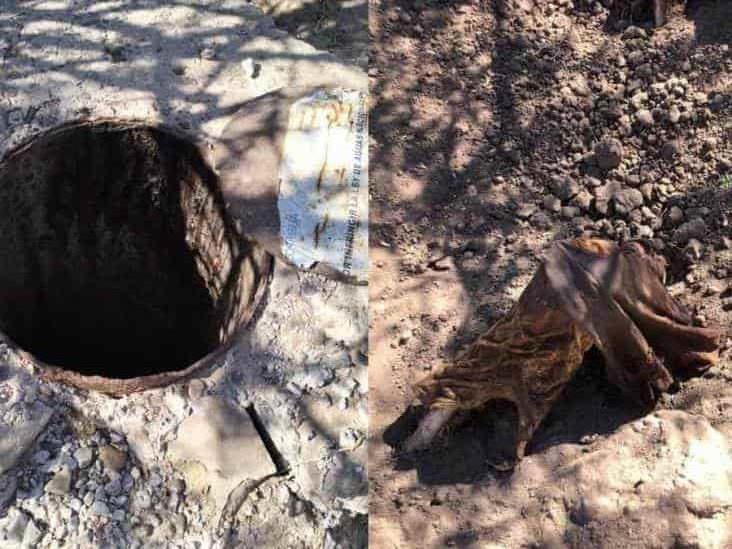 Madres Buscadoras localizan 17 fosas clandestinas en Sonora