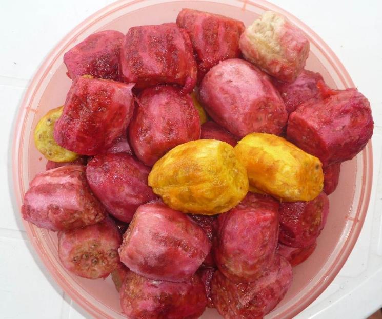 ¿Quiénes no deben comer tunas?