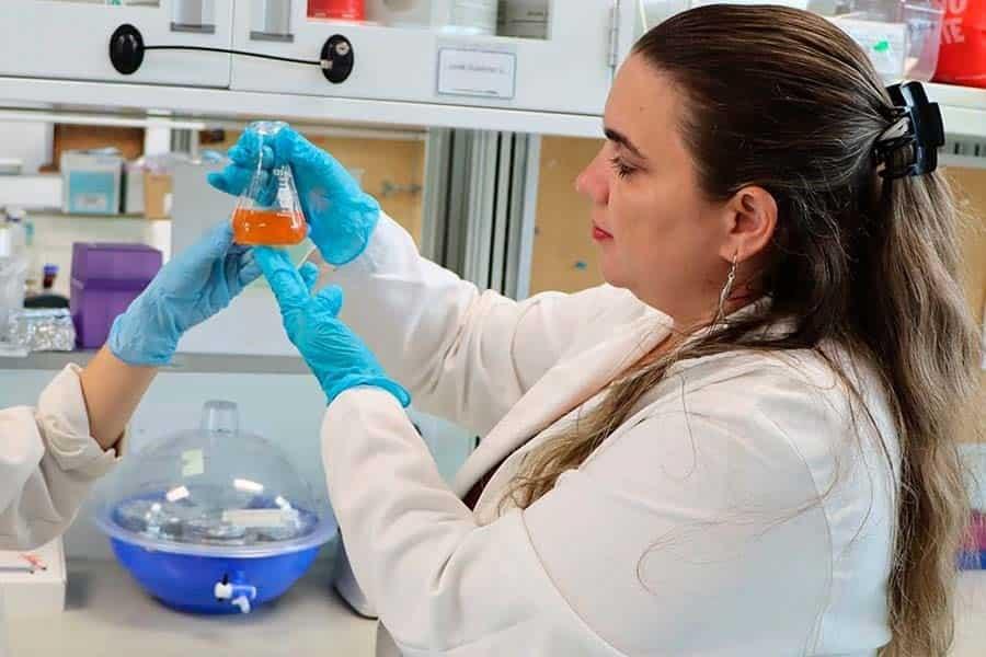 Sello femenino: ellas ganaron el Premio Mujer Tec 2024